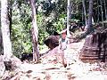 28 - Jardin des eaux 005